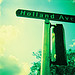 holland avenue
