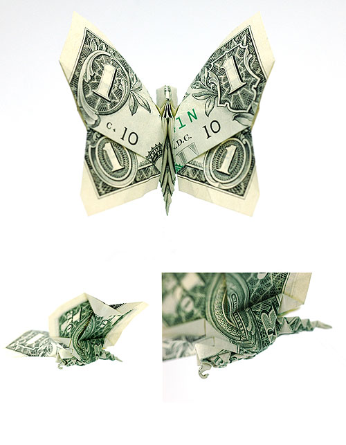 dollar bill origami butterfly. boooom origami dollar bill art