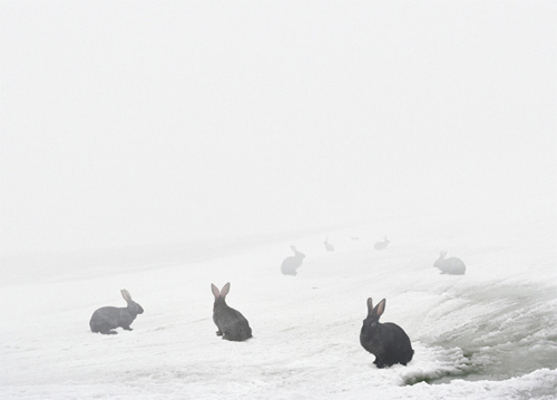 andrea galvani photography photographer surreal booooooom