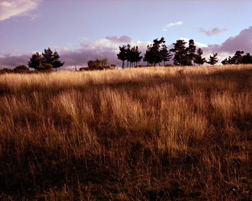 raoul gatepin photographer photographer booooom