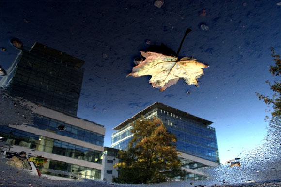 booooooom soulier 580 pic on Design You Trust booooooom soulier 580 Beautiful puddles.