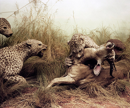 booooooom kim boske art artist profile