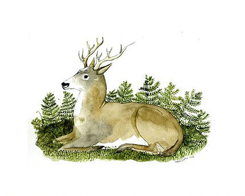 diana sudyka illustrator artist illustration painting
