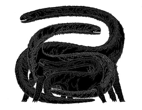 micah lidberg art illustrator illustration