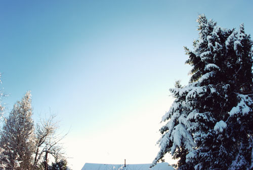 booooooom vancouver blog snow art design culture