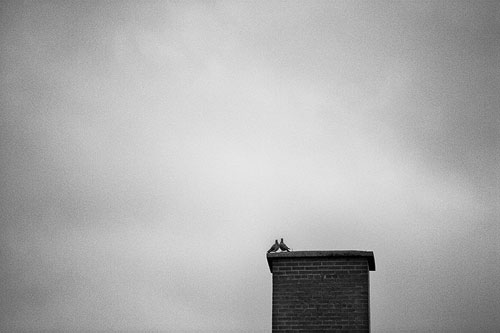 sylvain thomin photography photographer