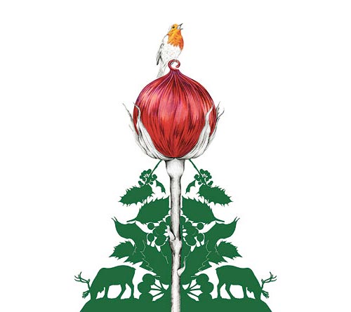 daisy fletcher illustrator illustration