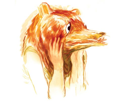 jillian tamaki illustrator illustration