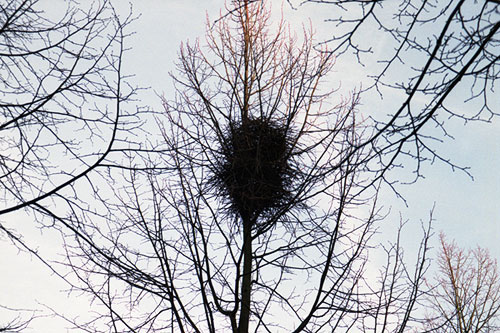daniel augscholl photography photographer