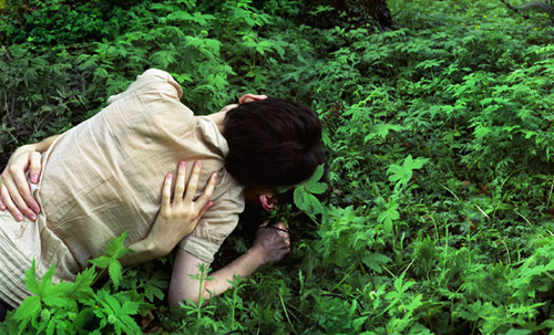 miranda lehman photographer photography