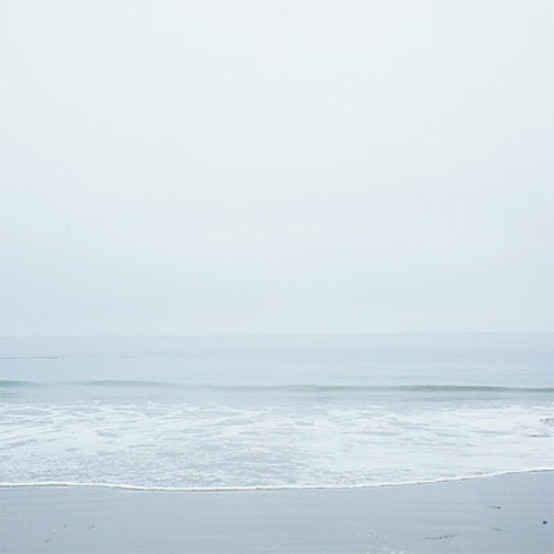 miranda lehman photographer photography