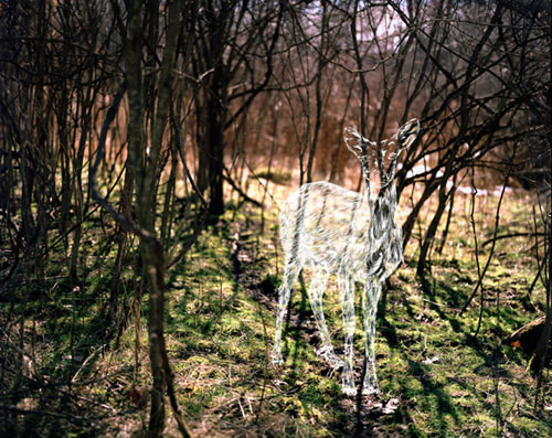 josh poehlein drawings photographer photography