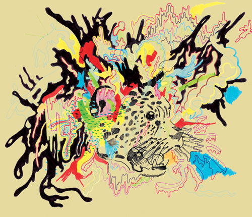 kirk hiatt illustration illustrator drawing philadelphia