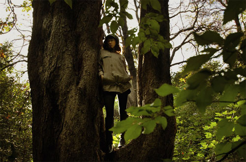 sarah wilmer photographer photography