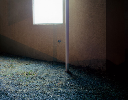 carl wooley photographer photography