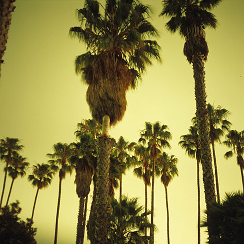 kamden vencill photographer photography