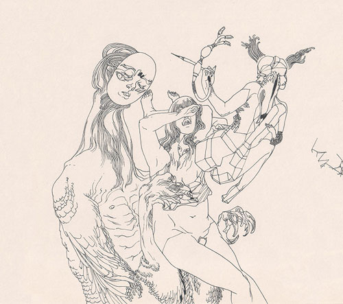 Véronique Meignaud illustration illustrator Marmotte