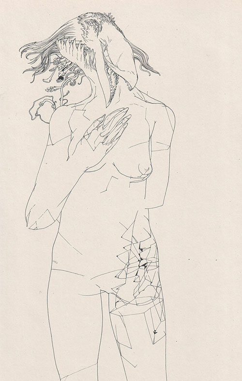 Véronique Meignaud illustration illustrator Marmotte