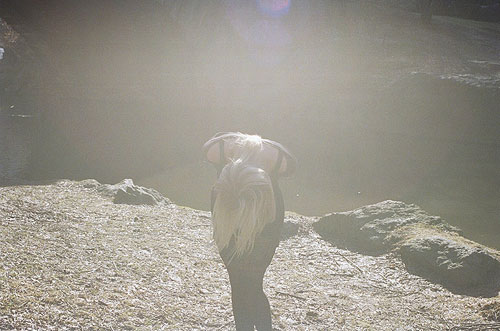 sarah hermans photographer photography belgium