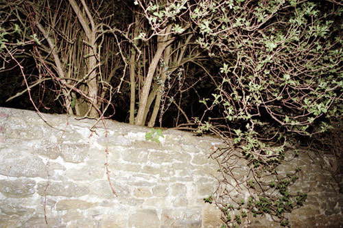 jacob lillis photographer photography