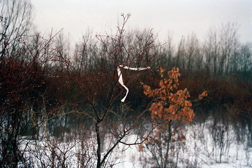 jacob wolf miller photographer photography