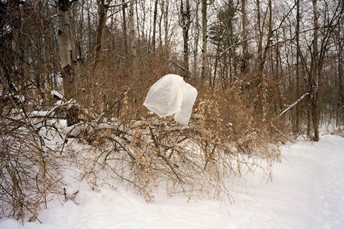 jacob wolf miller photographer photography