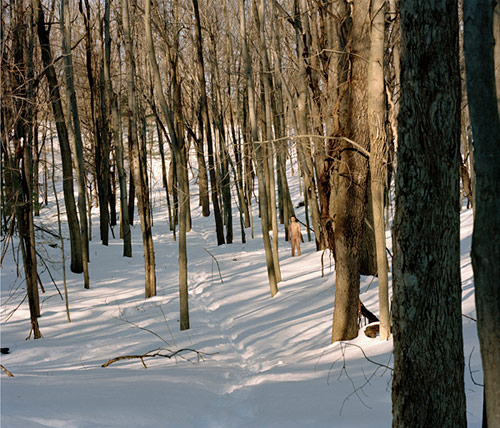 jacob wolf miller photographer photography