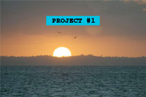 Project #1 – Submissions!