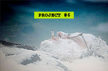 Project #6 – Pixel Portraits!
