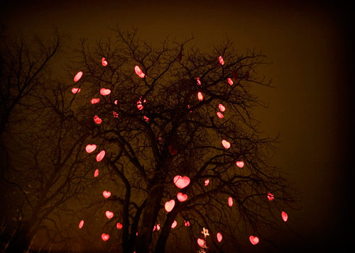 hanne hvattum photographer photography denmark