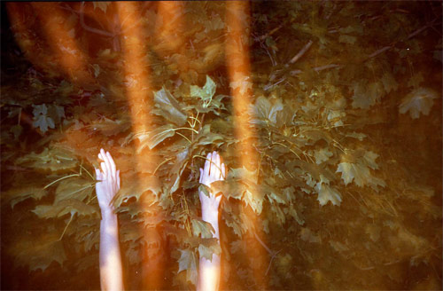 nathaniel sexton photographer photography