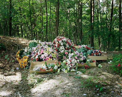anthony early smith photographer photography
