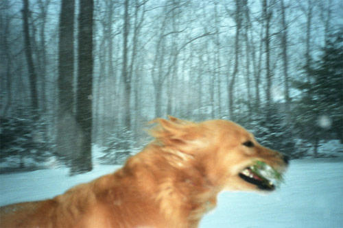 james turnley photographer photography