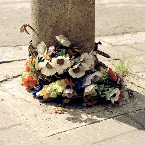 caroline de vries photographer photography