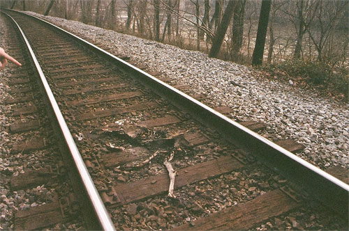jenna popoli train tracks photography photo
