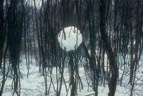 andy goldsworthy Snowball in trees british artist sculptor photographer andy goldsworthy