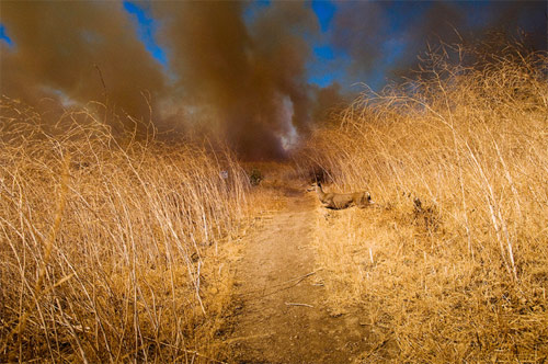 jared iorio photographer photography