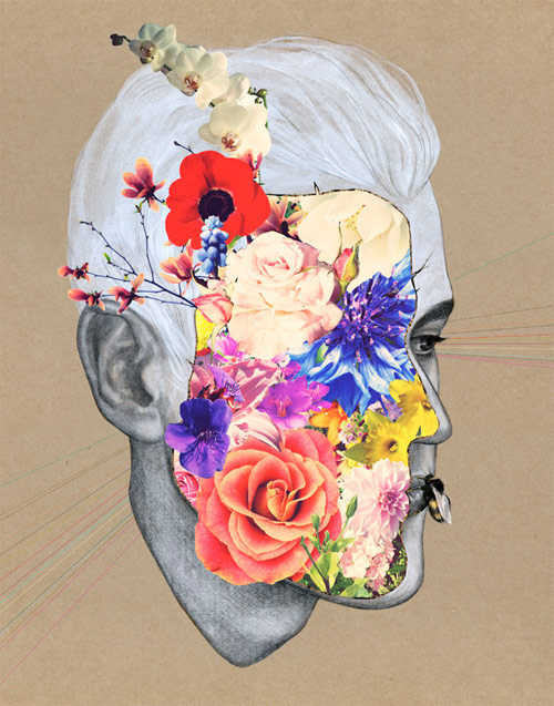 illustrator illustration shannon elliott canada vancouver idea grad capilano