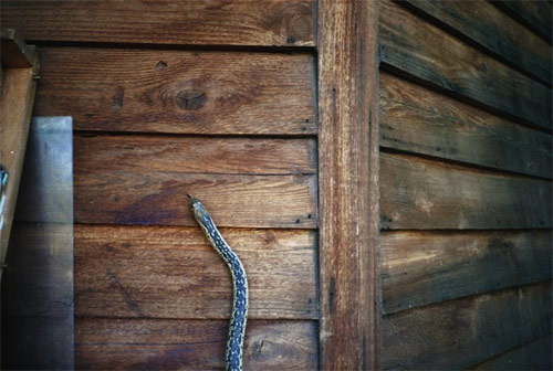 marlon geller photographer photography