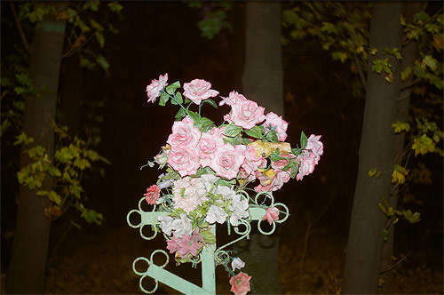 Photographer Nikolay Leshkin