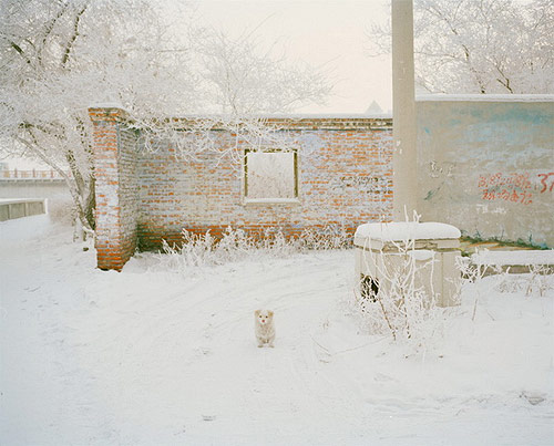 Photographer Eris Yo photography