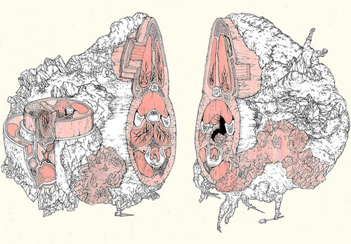 drawings by jennifer crouch