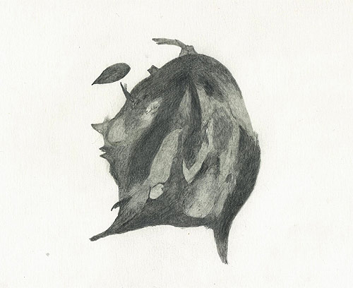 artist maria mantella drawings