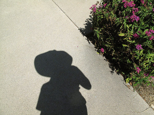 mary amor photographer photography