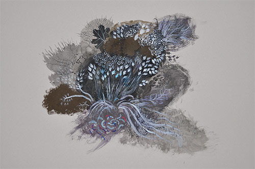 artist megan diddie drawing