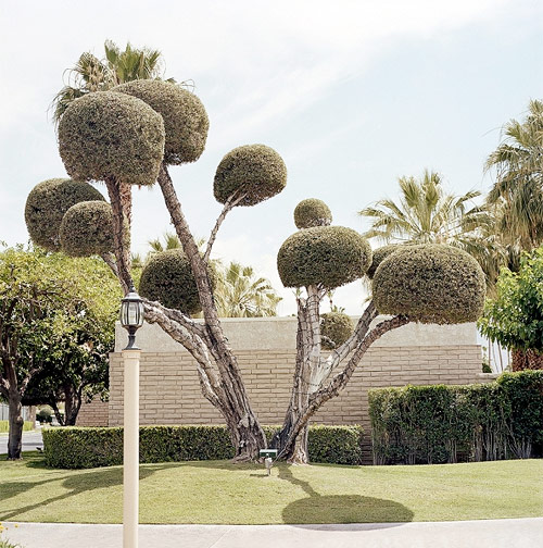 katie shapiro photographer photography