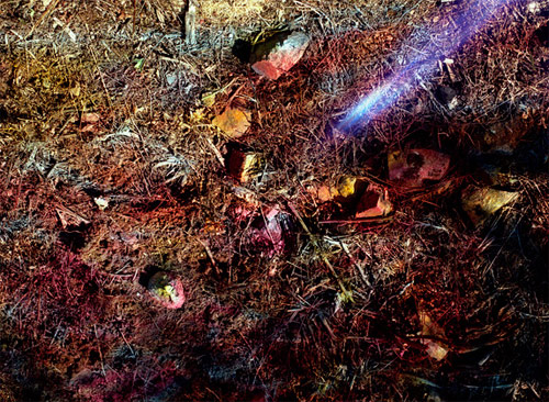 estelle hanania photographer photography
