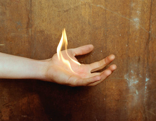 estelle hanania photographer photography
