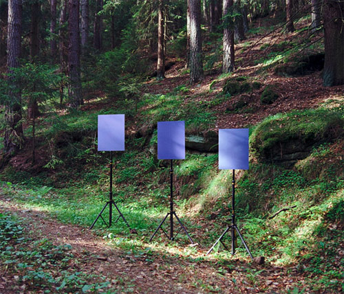 Photographer Thomas Wieflingseder
