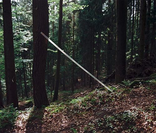 Photographer Thomas Wieflingseder